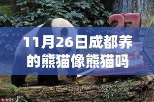 阿胶究竟有哪些功效 第504页