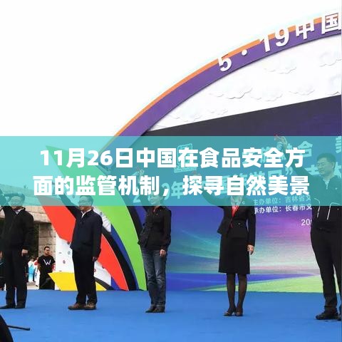 阿胶究竟有哪些功效 第502页