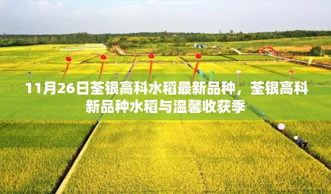 阿胶究竟有哪些功效 第496页