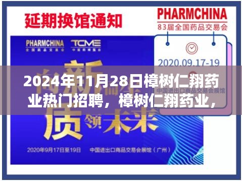 阿胶究竟有哪些功效 第573页