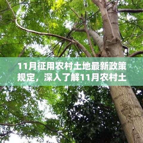 不拘小节 第5页