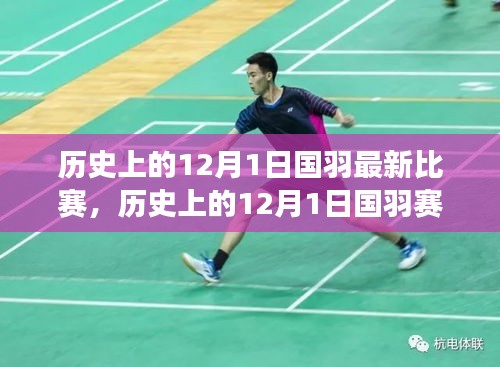 阿胶究竟有哪些功效 第505页