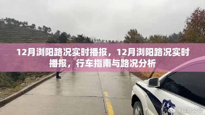 白璧无瑕 第3页