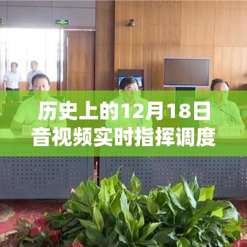 雍容典雅 第3页