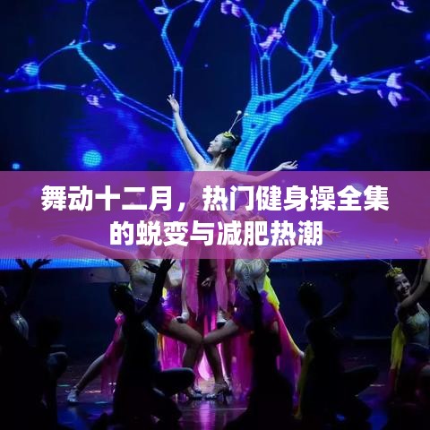凤凰于飞 第3页