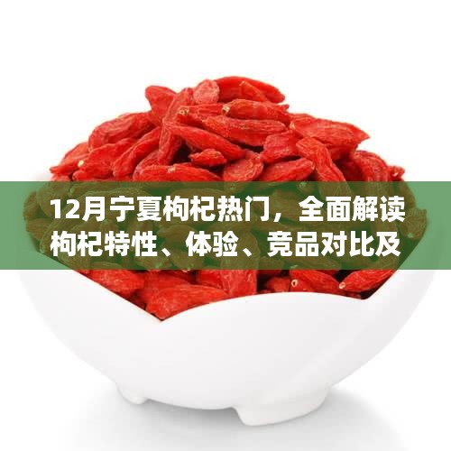 用户群体深度分析