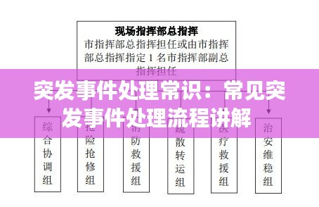资料中心 第324页
