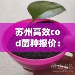 草率收兵 第2页