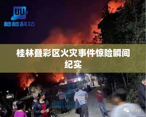 贵不可言 第3页