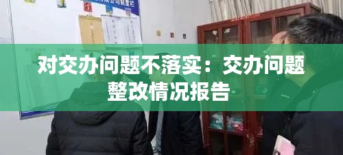对交办问题不落实：交办问题整改情况报告 