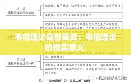 笨鸟先飞 第3页