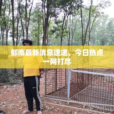 百鸟朝凤 第2页