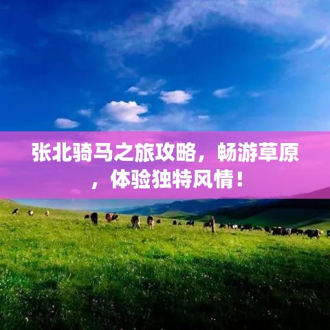 张北骑马之旅攻略，畅游草原，体验独特风情！