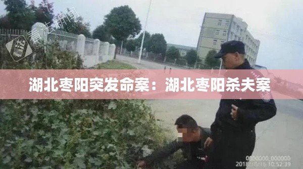 箪瓢陋室 第3页