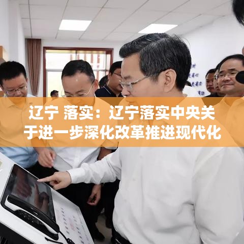 辽宁 落实：辽宁落实中央关于进一步深化改革推进现代化的意见 
