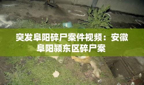 突发阜阳碎尸案件视频：安徽阜阳颍东区碎尸案 
