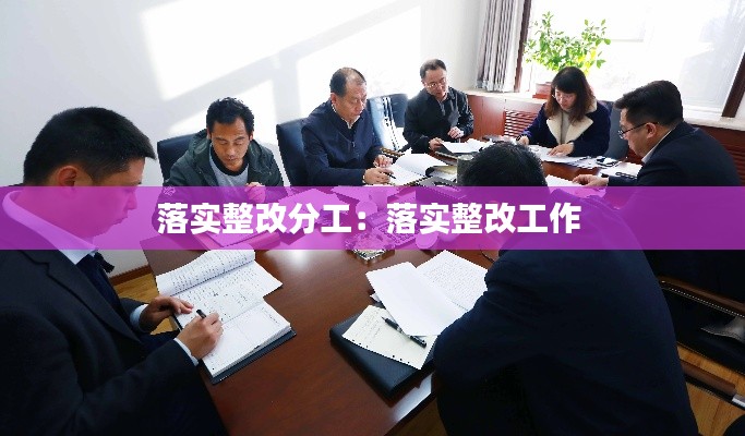 落实整改分工：落实整改工作 