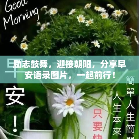 远山芙蓉 第2页