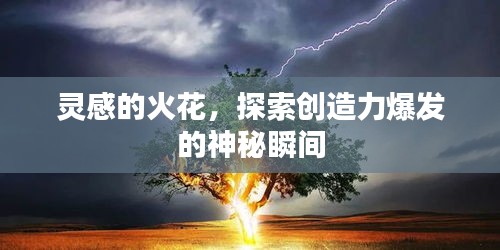 法贵必行 第2页