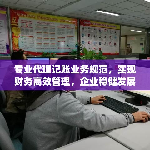 专业代理记账业务规范，实现财务高效管理，企业稳健发展