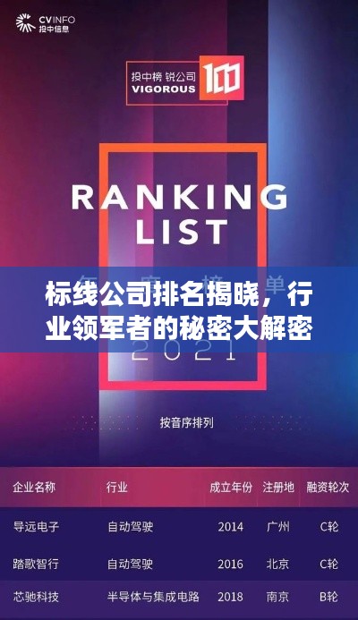标线公司排名揭晓，行业领军者的秘密大解密！