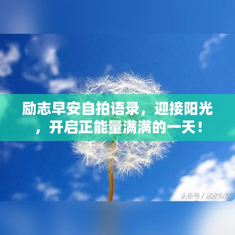 阿胶究竟有哪些功效 第9页