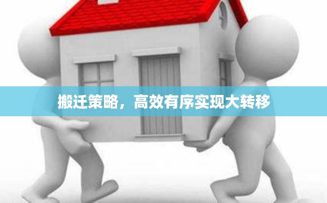 2025年5月24日 第3页