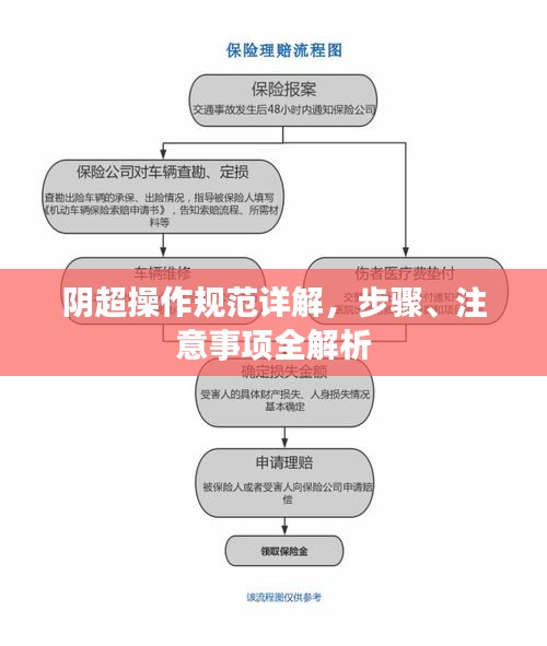 阴超操作规范详解，步骤、注意事项全解析