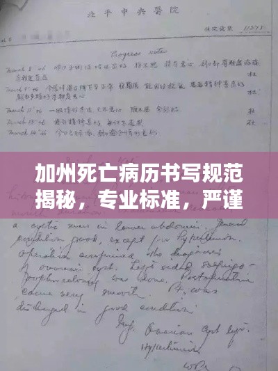 加州死亡病历书写规范揭秘，专业标准，严谨细致