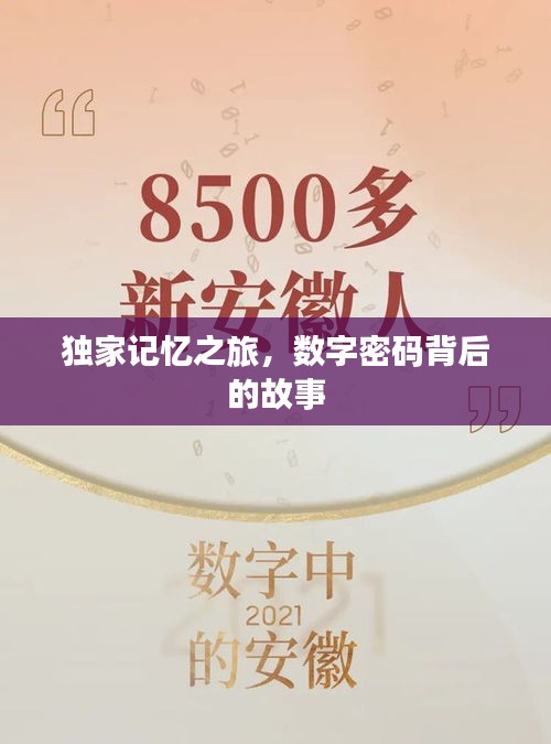 独家记忆之旅，数字密码背后的故事