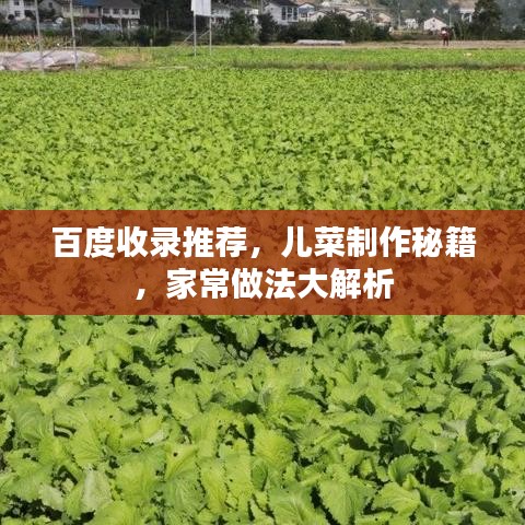 百度收录推荐，儿菜制作秘籍，家常做法大解析