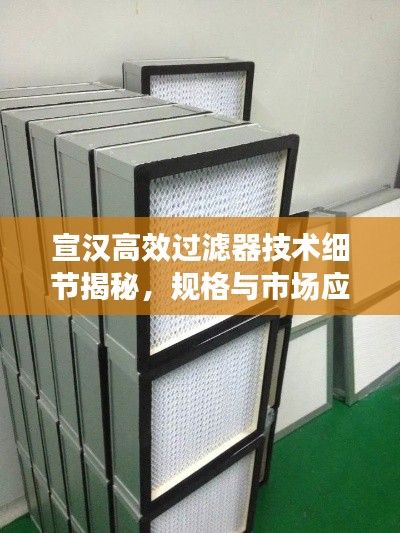 宣汉高效过滤器技术细节揭秘，规格与市场应用探讨
