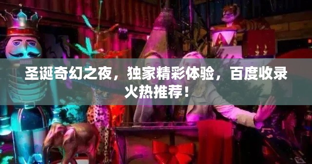 圣诞奇幻之夜，独家精彩体验，百度收录火热推荐！