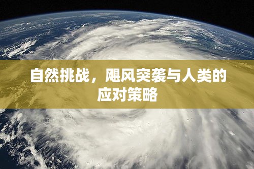 自然挑战，飓风突袭与人类的应对策略