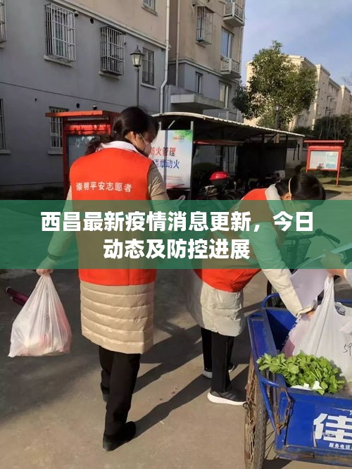 西昌最新疫情消息更新，今日动态及防控进展