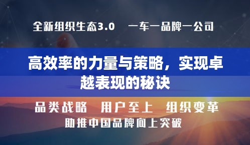 高效率的力量与策略，实现卓越表现的秘诀