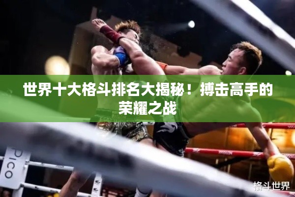 世界十大格斗排名大揭秘！搏击高手的荣耀之战