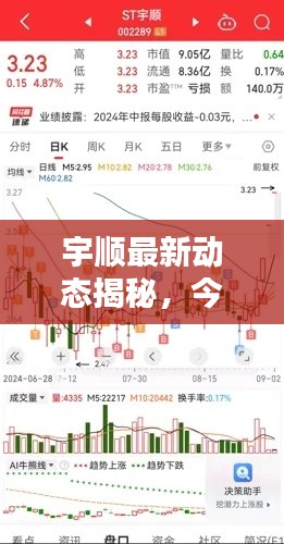 宇顺最新动态揭秘，今日消息一览