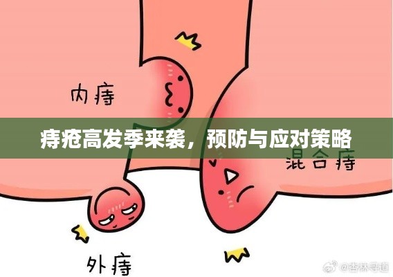 痔疮高发季来袭，预防与应对策略