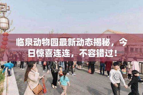 临泉动物园最新动态揭秘，今日惊喜连连，不容错过！