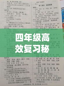 2025年6月17日 第5页