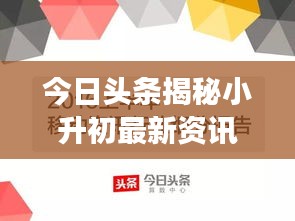 今日头条揭秘小升初最新资讯与深度解读