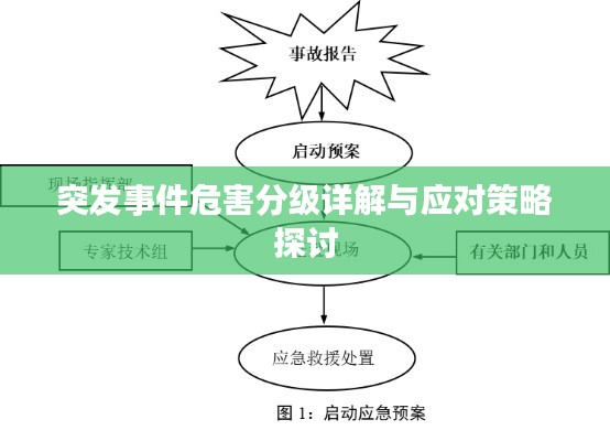 突发事件危害分级详解与应对策略探讨