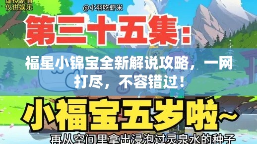 福星小锦宝全新解说攻略，一网打尽，不容错过！