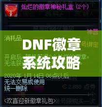 DNF徽章系统攻略大全，最新指南助你轻松玩转徽章系统！