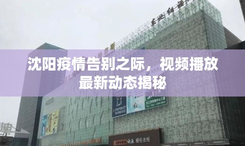 沈阳疫情告别之际，视频播放最新动态揭秘