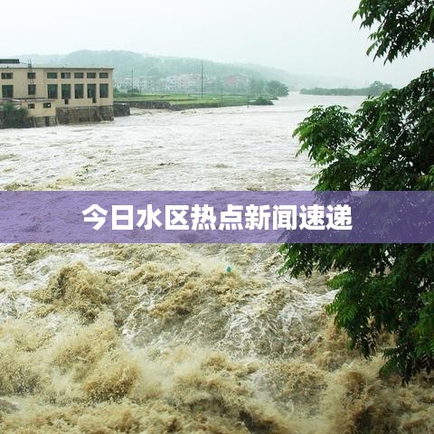 今日水区热点新闻速递