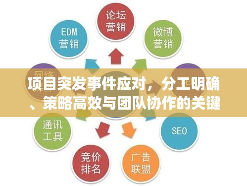 项目突发事件应对，分工明确、策略高效与团队协作的关键之道