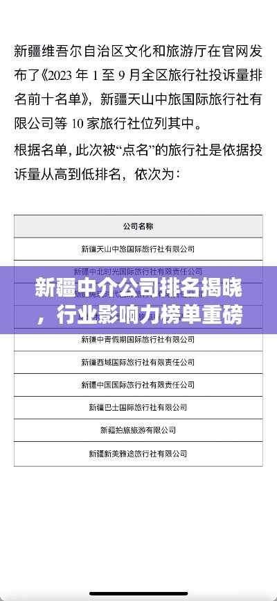 新疆中介公司排名揭晓，行业影响力榜单重磅出炉！