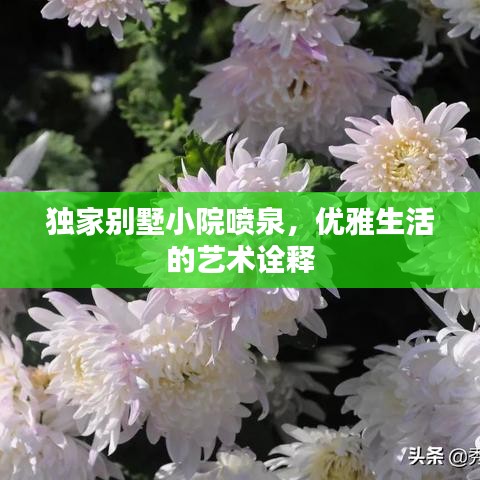 独家别墅小院喷泉，优雅生活的艺术诠释